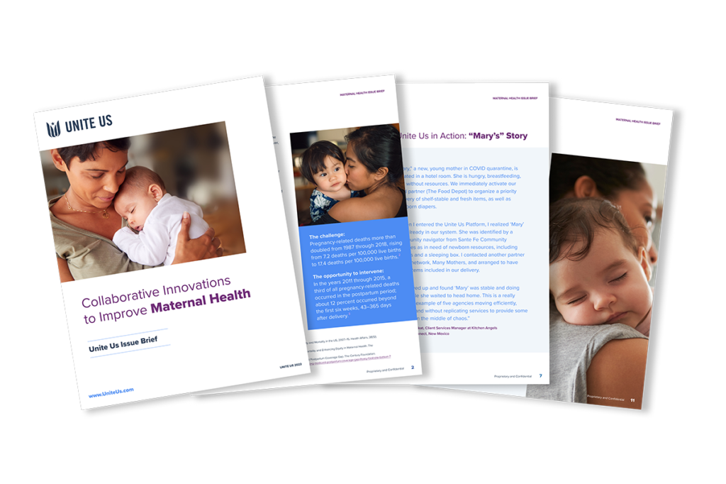 Maternal-Health-Issue-Brief-1024x682-1