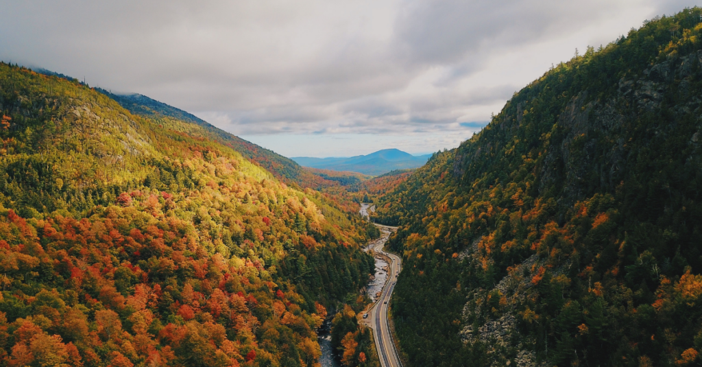 scenic road shot of wooded valley