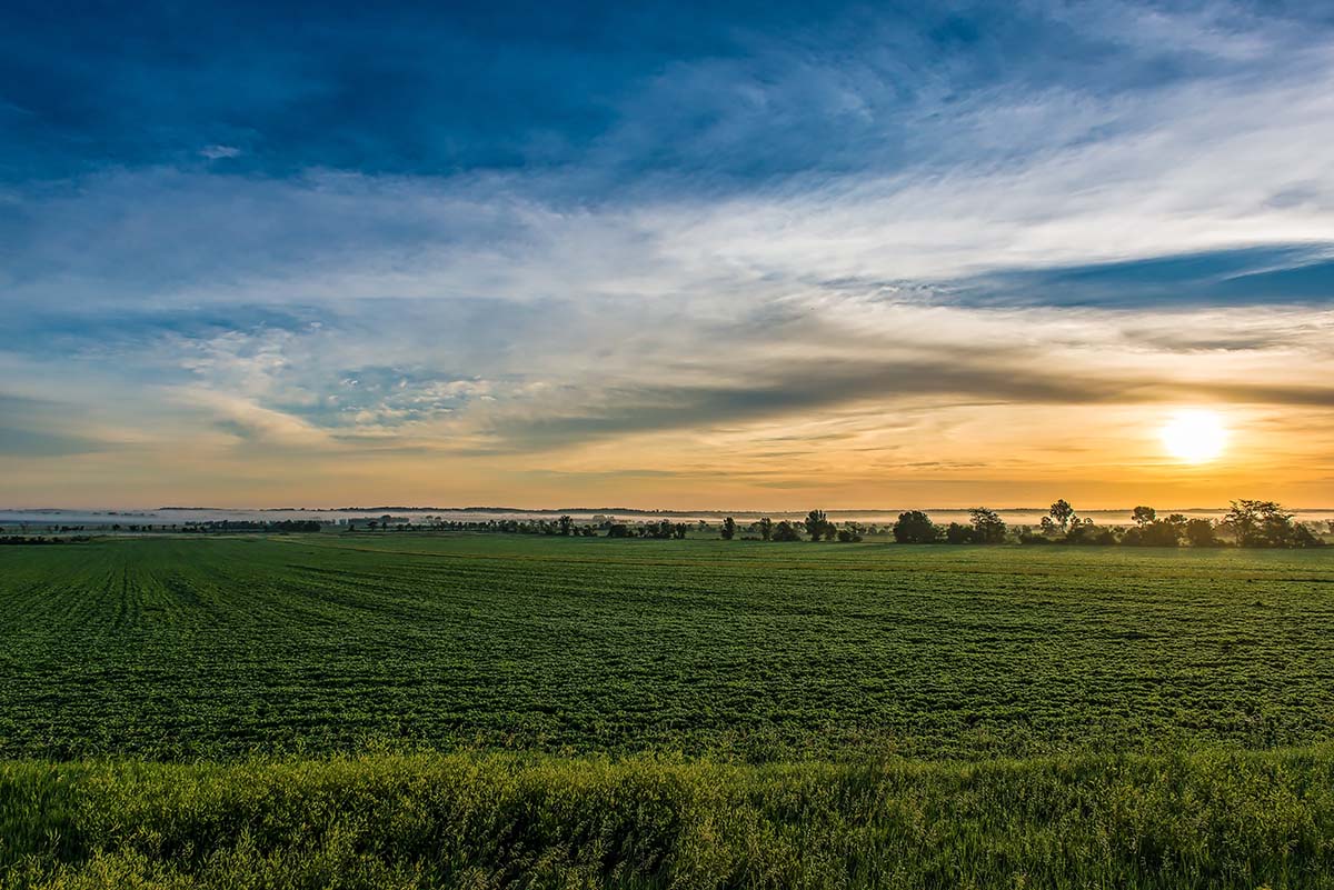 Iowa Landscape